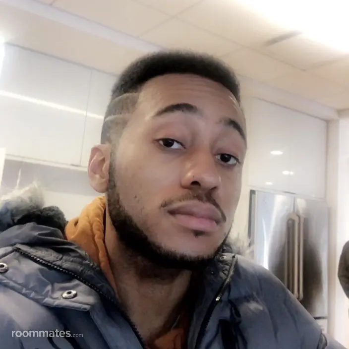 Roommate looking Washington, DC, $1000
