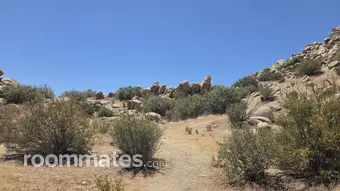 Room for rent in Joshua Tree, CA $750, house