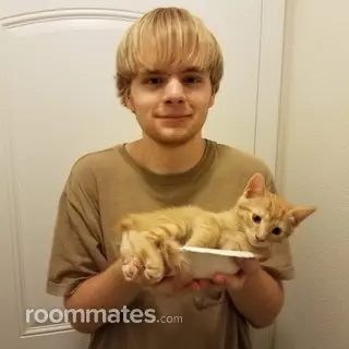 Roommate looking Sarasota, FL, $800