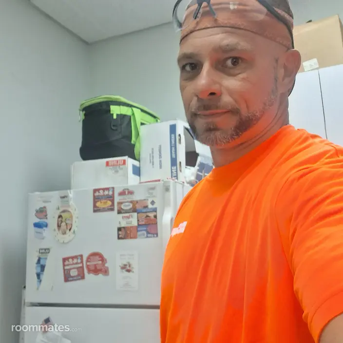 Roommate looking Galloway, OH, $900