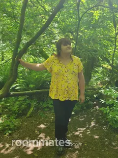 Roommate looking Crestline, CA, $1300
