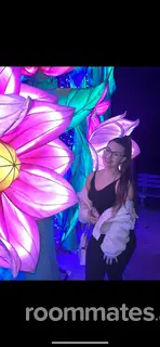 Roommate looking Westford, MA, $1500
