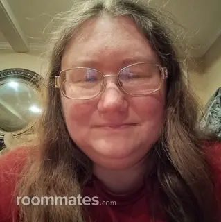 Roommate looking Sparta, MI, $800