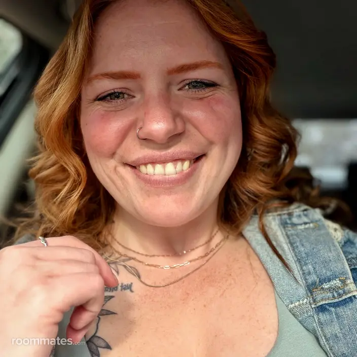 Roommate looking Plainville, MA, $900
