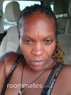 Roommate looking Manassas, VA, $1000