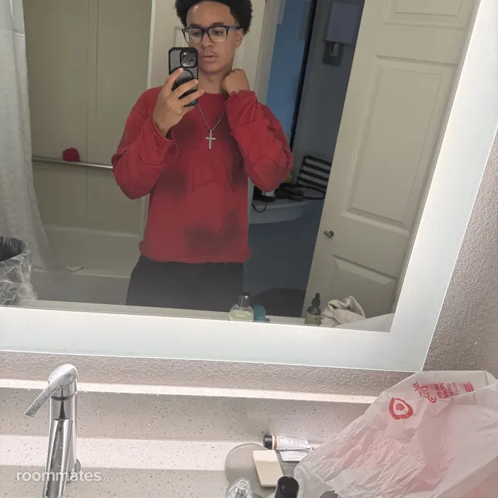 Roommate looking Arlington, TX, $2000