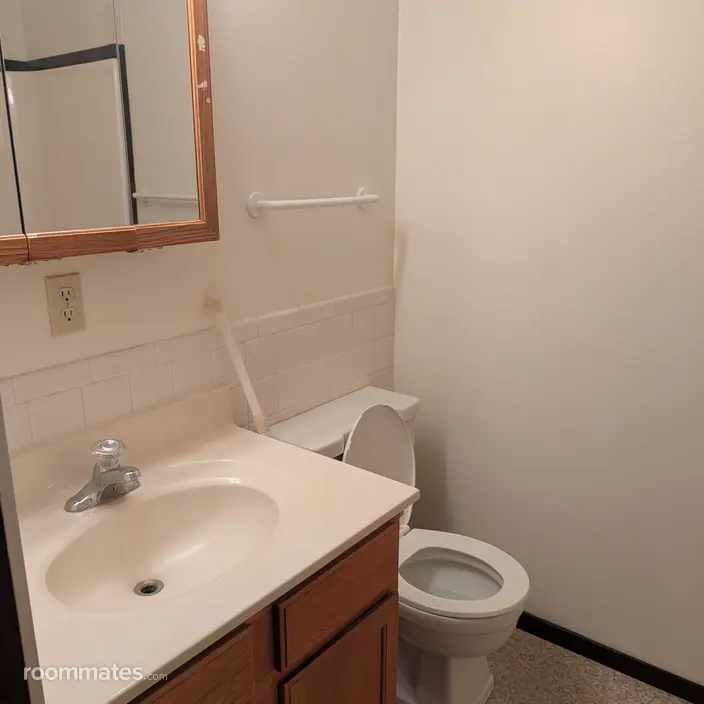 Room for rent in DeKalb, IL $600, apartment