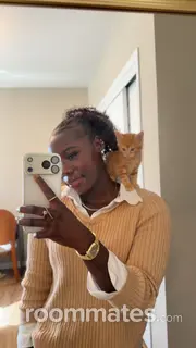 Roommate looking Loveland, CO, $1400