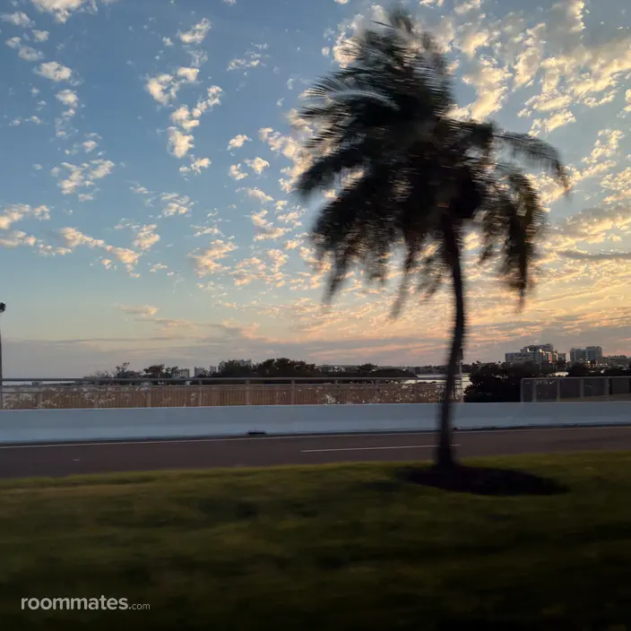 Roommate looking Clearwater Beach, FL, $800