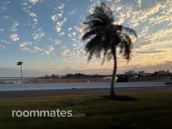 Roommate looking Clearwater Beach, FL, $800