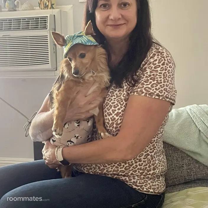 Roommate looking Peachtree City, GA, $1500