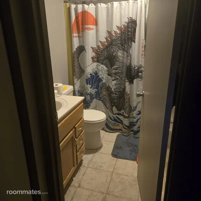 Room for rent in Manteno, IL $700, apartment