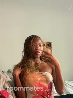 Roommate looking Lansdale, PA, $1300