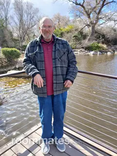Roommate looking Albuquerque, NM, $600