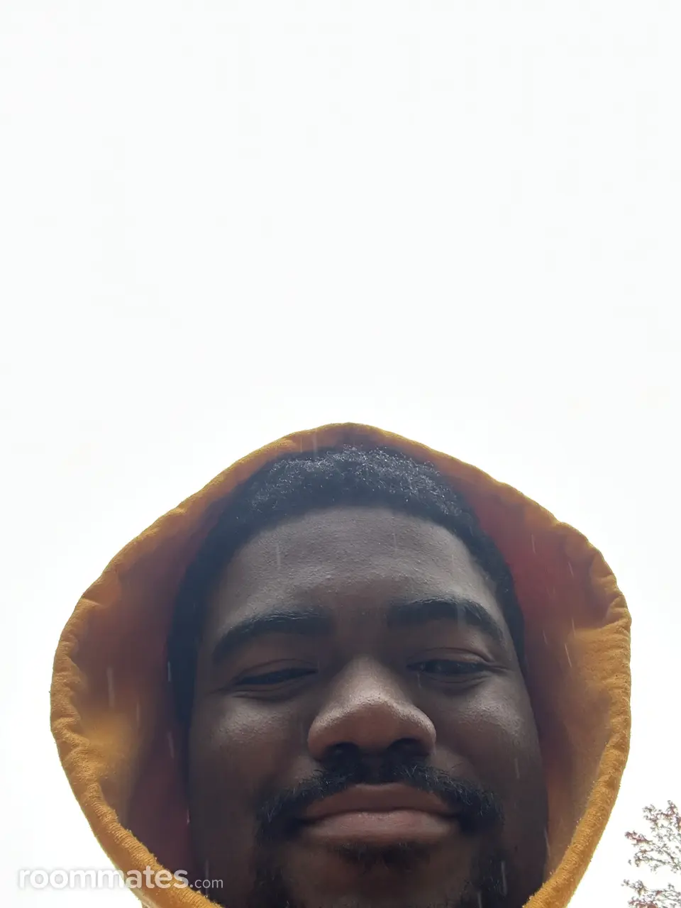 Profile photo 2 of 2