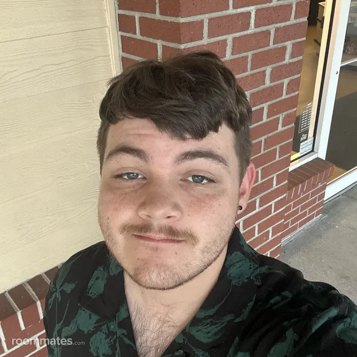 Roommate looking North Charleston, SC, $800