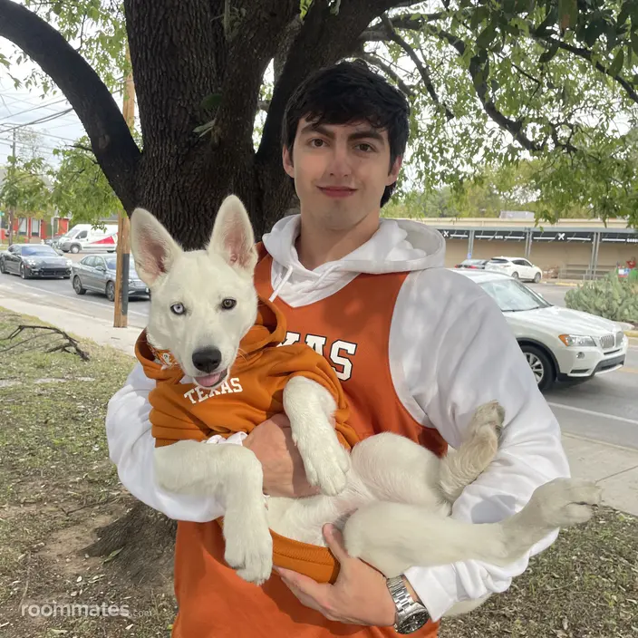 Roommate looking Dallas, TX, $900