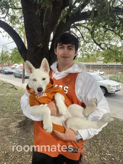 Roommate looking Dallas, TX, $900