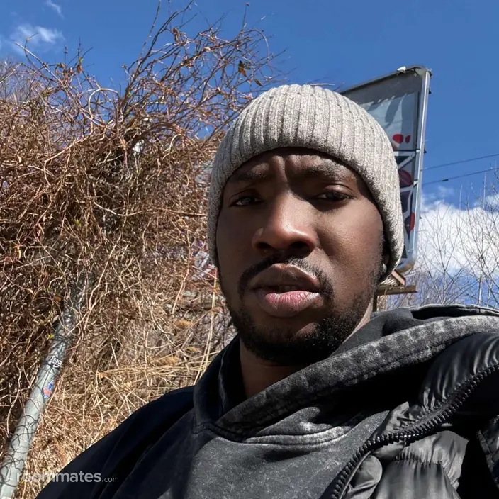 Roommate looking Brooklyn, NY, $1000
