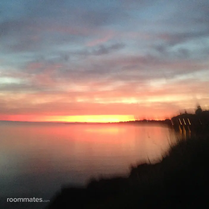 Roommate looking Poulsbo, WA, $900