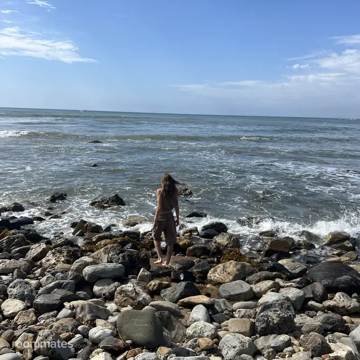 Roommate looking Woodland Hills, CA, $1200