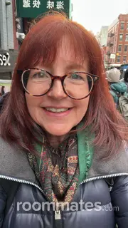 Roommate looking Brooklyn, NY, $1500