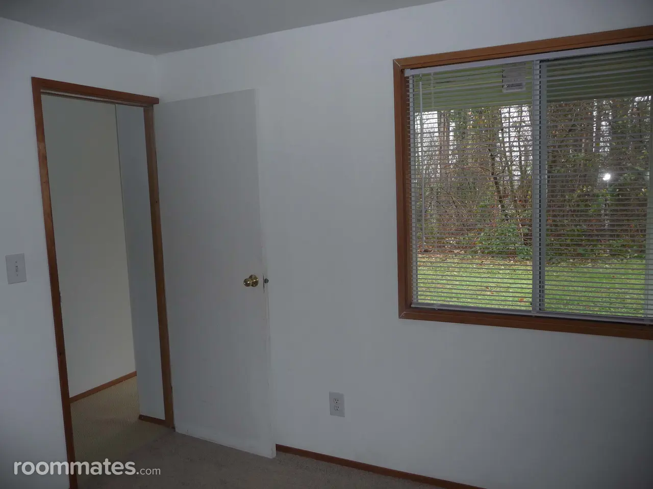Profile photo 2 of 11