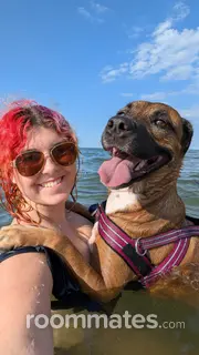 Roommate looking Norfolk, VA, $700