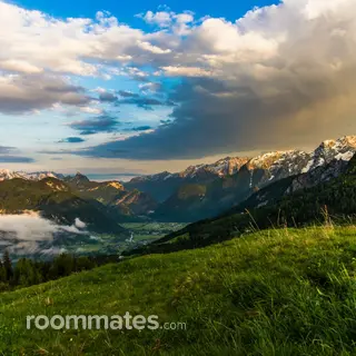 Roommate looking Denver, CO, $1200