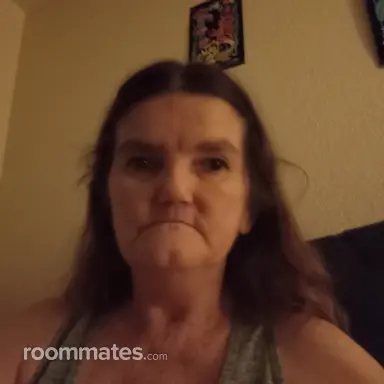 Roommate looking Mesa, AZ, $600