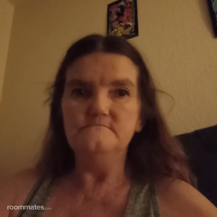 Roommate looking Mesa, AZ, $600