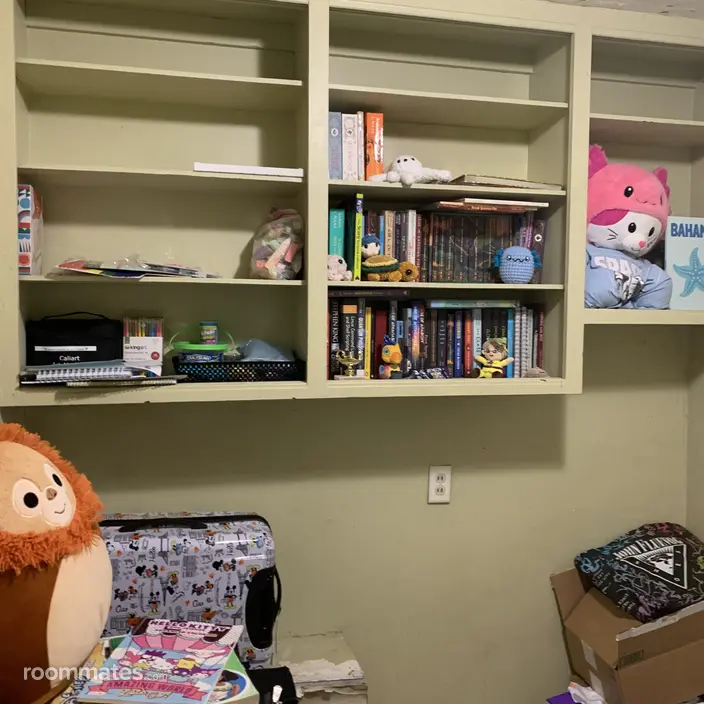Room for rent in St. Petersburg, FL $550, apartment