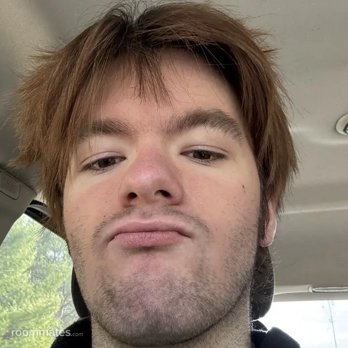 Roommate looking Portland, ME, $1000