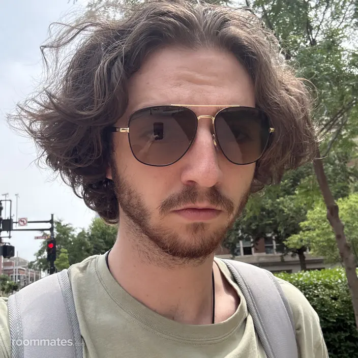 Roommate looking St. Paul, MN, $800