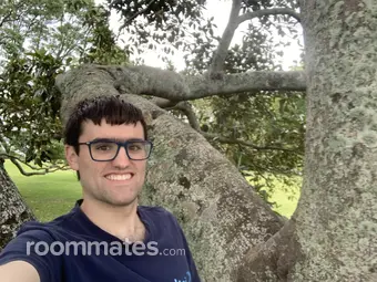 Roommate looking Portland, OR, $1200