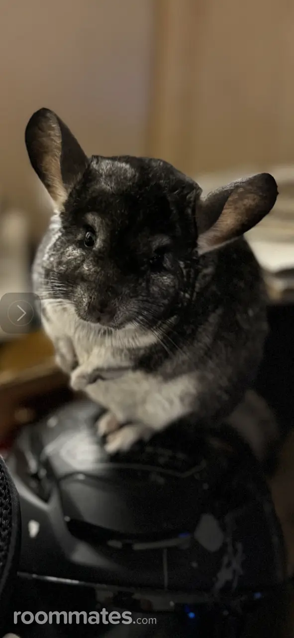 Profile photo 4 of 4