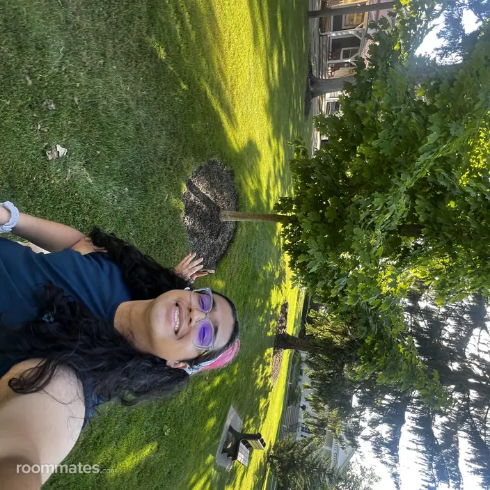 Roommate looking Franklin Park, IL, $700