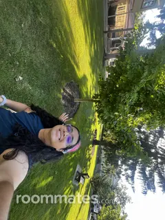 Roommate looking Franklin Park, IL, $700