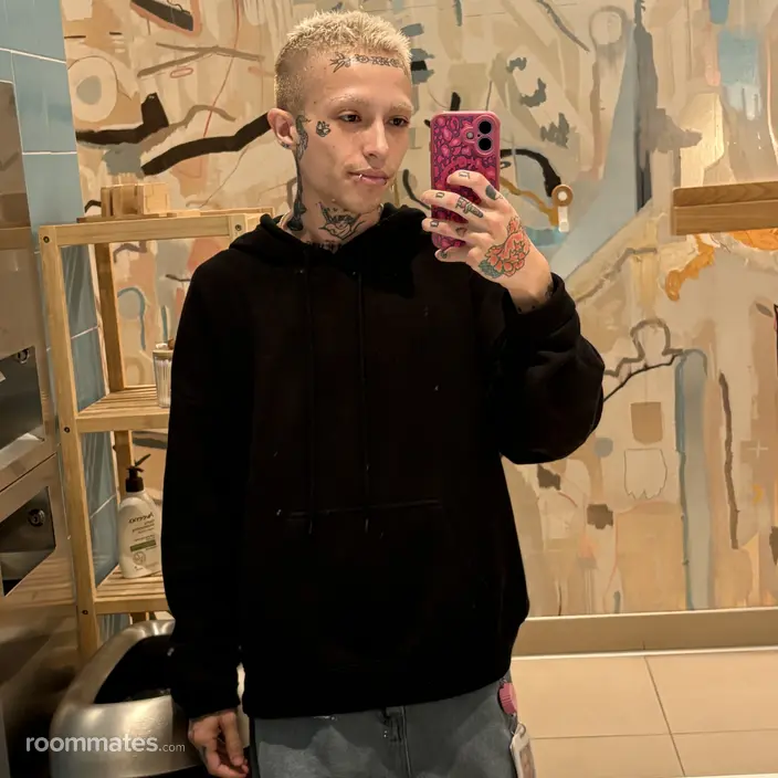 Roommate looking Phoenix, AZ, $1000