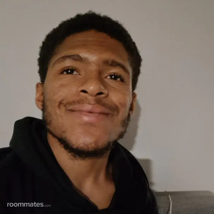 Roommate looking Lincoln Park, MI, $600
