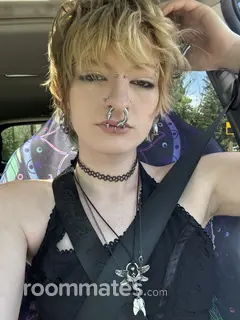 Roommate looking Clinton, MA, $800