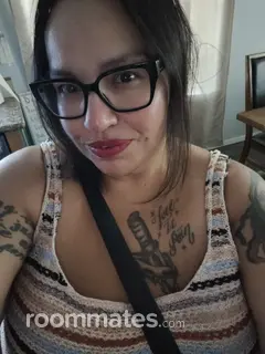 Roommate looking Gilbert, AZ, $900