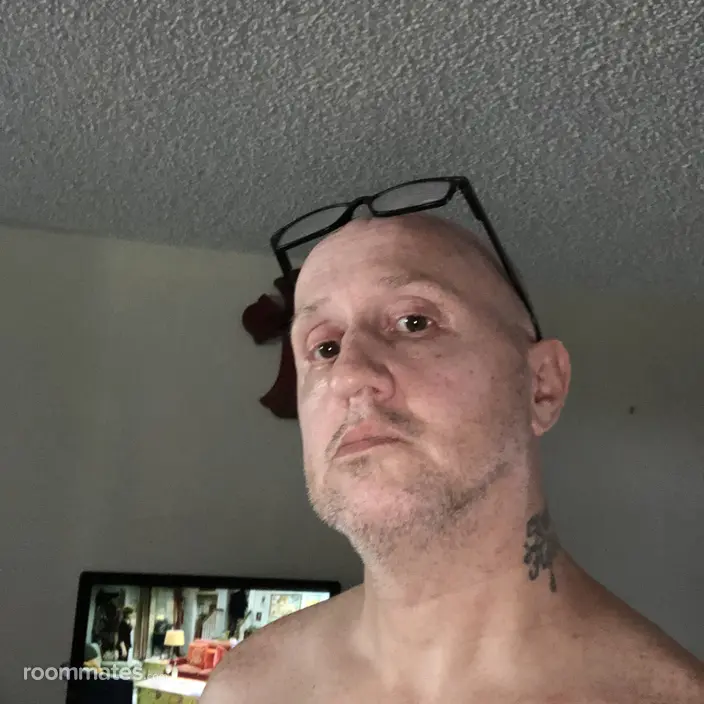 Roommate looking Tarpon Springs, FL, $500
