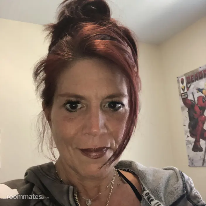 Roommate looking Hollywood, FL, $800