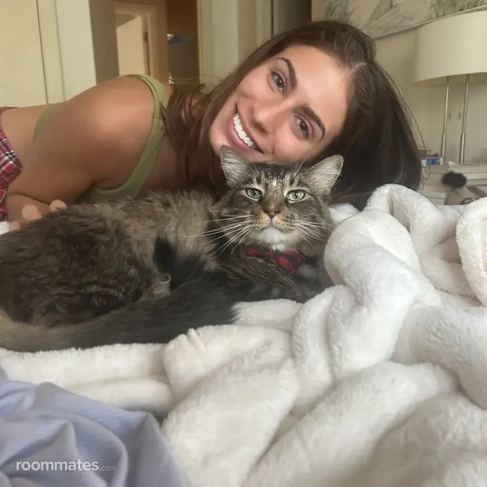 Roommate looking Newport Beach, CA, $2000