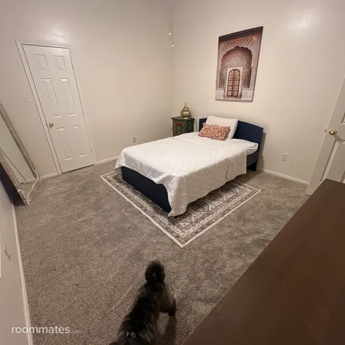 Room for rent in Spring, TX $800, house