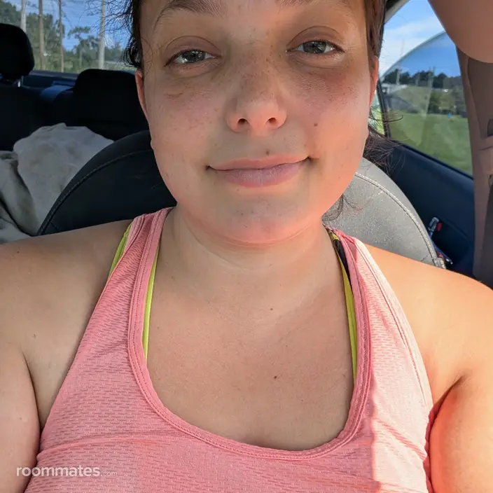 Roommate looking Tarpon Springs, FL, $800