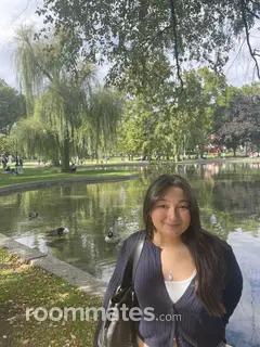Roommate looking Boston, MA, $1500