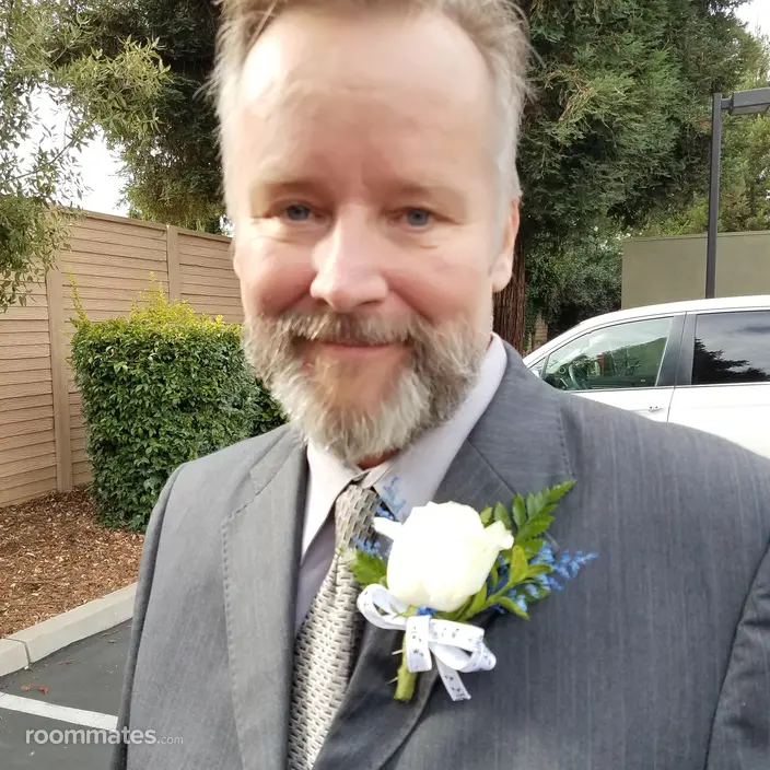 Roommate looking Brentwood, CA, $800