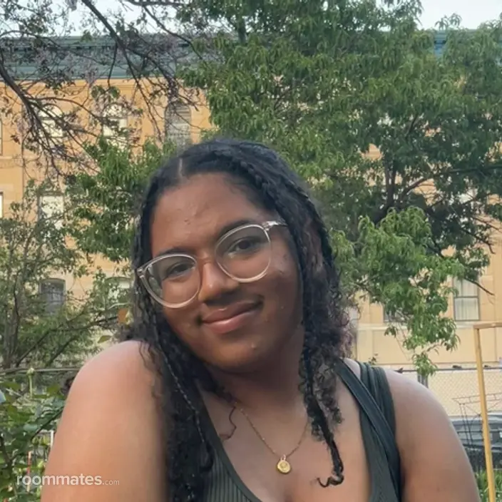 Roommate looking Minneapolis, MN, $800